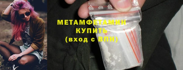 крисы Новозыбков