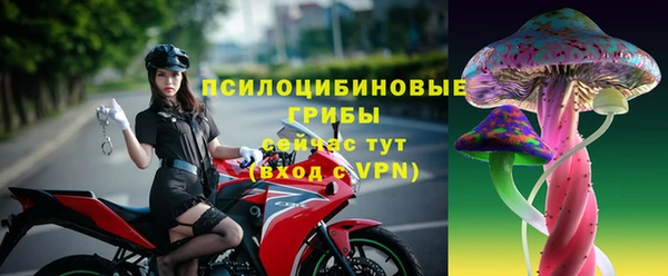 ешки Абинск